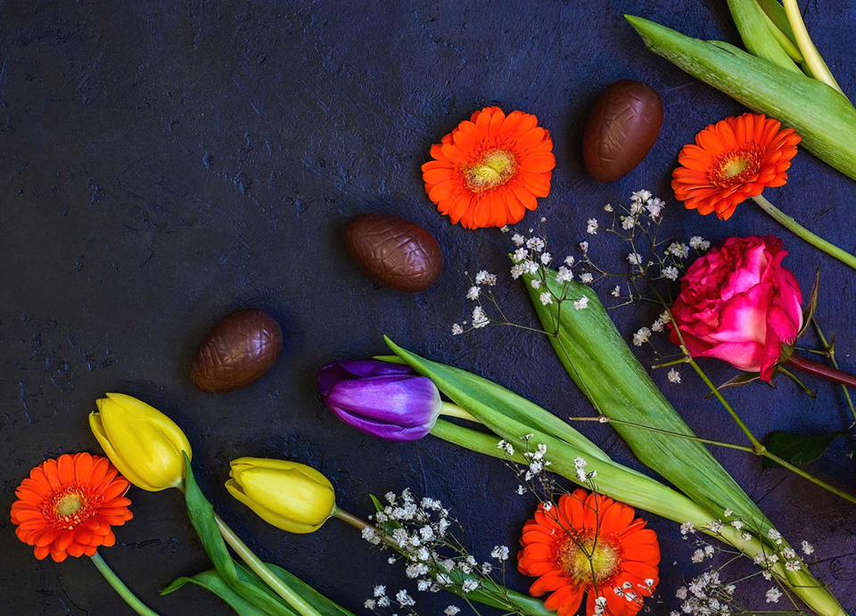 tulips and chocolate easter eggs