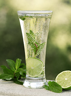 Agave-Mint-drink-FoodTrienst-x1