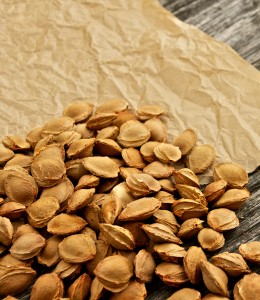 Apricot seeds on a brown paper
