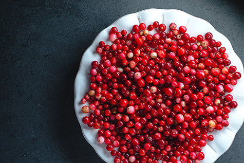 Red cranberries on a large white plate on a gray background