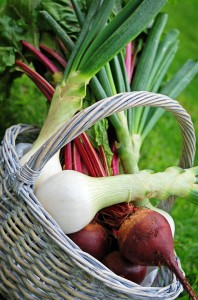 fresh onions and beetroot