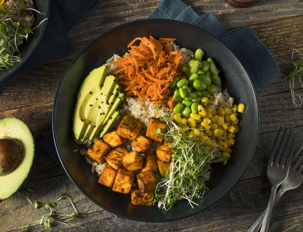 Healthy Organic Tofu and Rice Buddha Bowl
