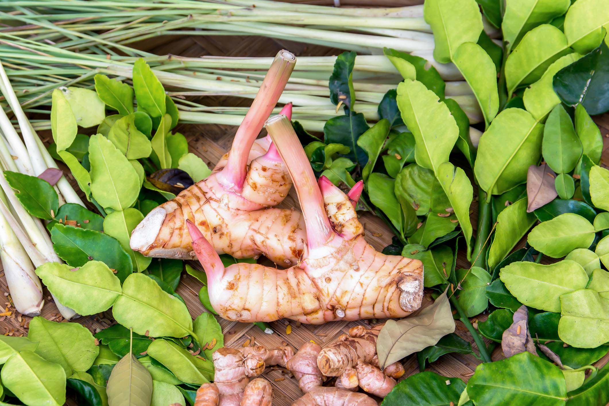 Traditional Thai herb food ingredients