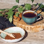 Chaga tea - a strong antioxidant, boosts immune system. Healthy pure natural. Wild Chaga Mushroom, making tea, coffee and herbal remedy