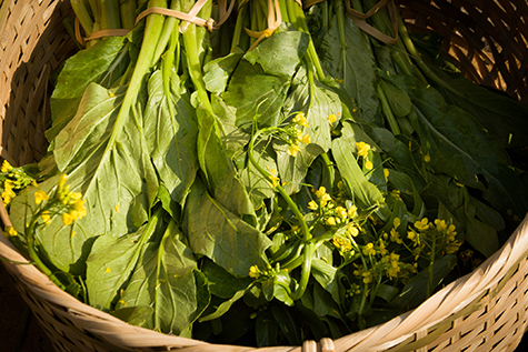 Laos: Mustard Greens with Yellow Flowers Wicker Basket