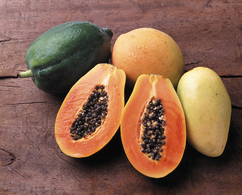 Papaya and mango, close up