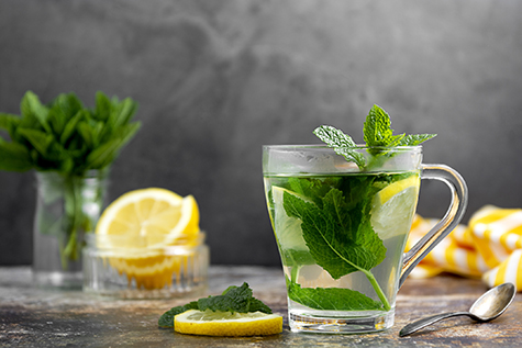 Mint tea with fresh mint leaves in glass cup, alternative medicine concept, healthy hot drink.
