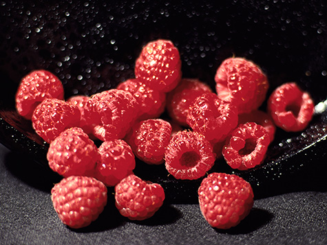 A close-up of picked red raspberries