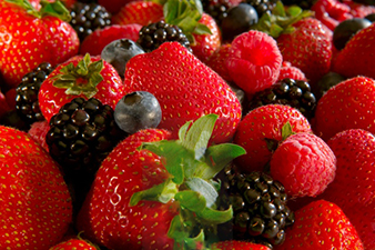 Strawberries-blackberries-raspberries-and-blueberries home page
