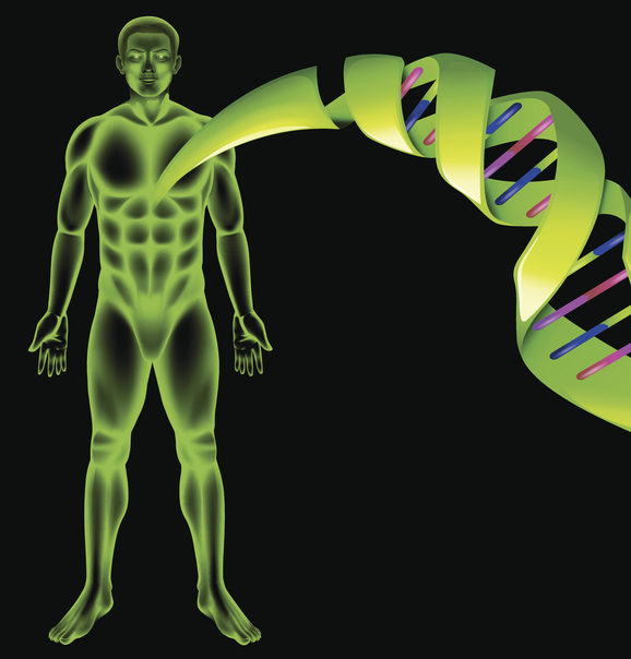 Male Human DNA
