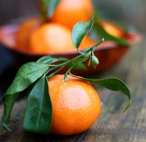 TS-499890247 Vitamin C -- oranges