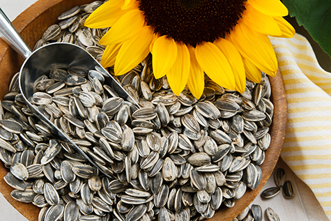 Closeup of Sunflower Seeds