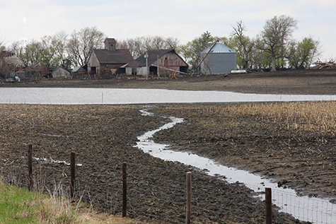 Rainy Spring Floods Iowa Field