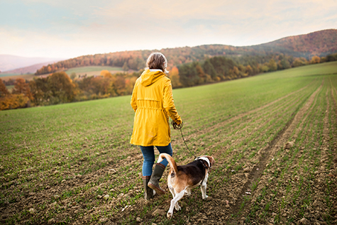 Senior woman with dog on a walk in an autumn nature.