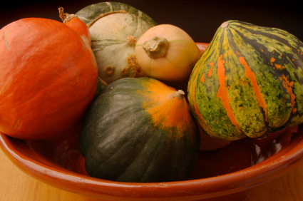 winter squashes-foodtrients